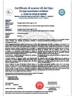 Online viscometer explosion-proof certification Online viscometer explosion-proof certification